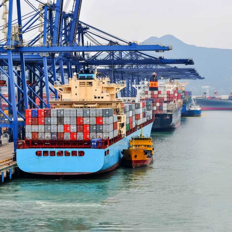 Container ships docked at a busy international port